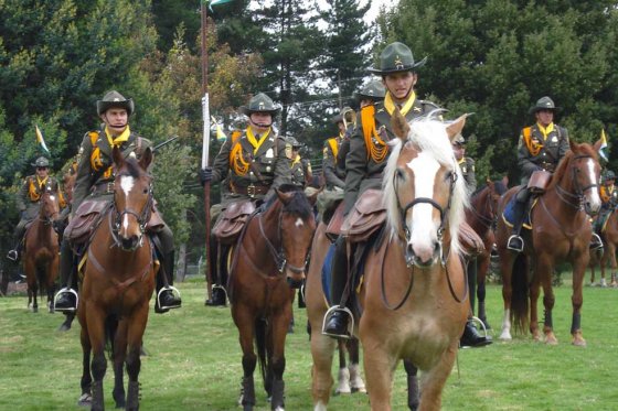El proyecto es acompañado por activistas y organizaciones en defensa de los animales.