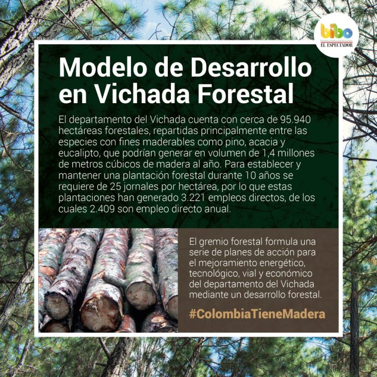 Modelo de Desarrollo en Vichada Forestal