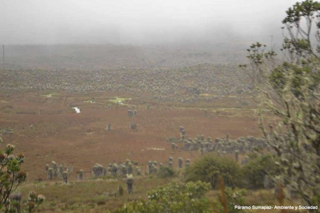 Páramo de Sumapaz/ Cortesía: Ambiente y Sociedad