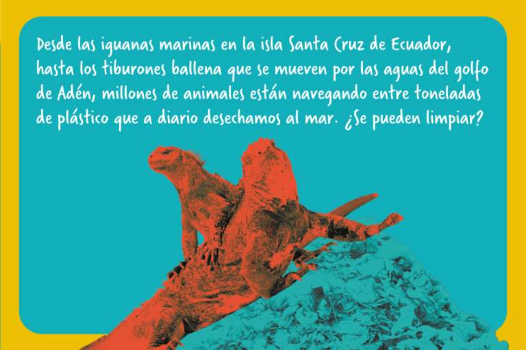¿Más plástico que peces para 2050?