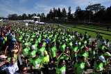 La carrera que sembrará 30.000 árboles