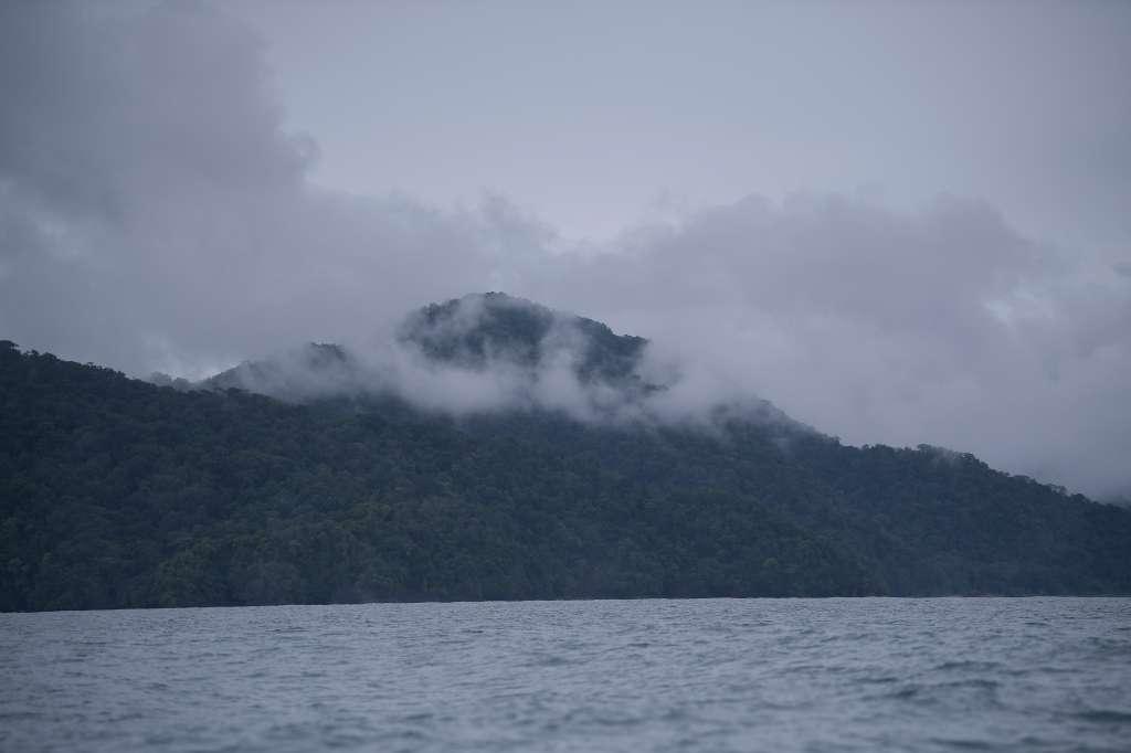 Diferentes aspectos de este municipio del Chocó: Habitantes, casas, paisajes, lanchas, aves, etc.