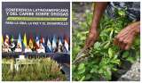 Coca: acuerdo entre 19 países firmado en Colombia intentará legitimar la planta