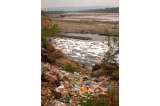 Nadando en aguas contaminadas del río Magdalena