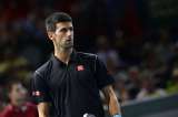 Djokovic continúa imparable en el último Masters 1000 de la temporada