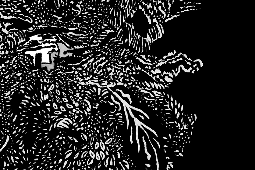 “La mata” fue coeditado por las editoriales Laguna Libros y Cardumen. Esta es una de las ilustraciones que acompañan el relato, obra de María Isabel Rueda tras ir a los Montes de María.