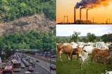 Estos departamentos de Colombia generan las mayores emisiones de gases de efecto invernadero