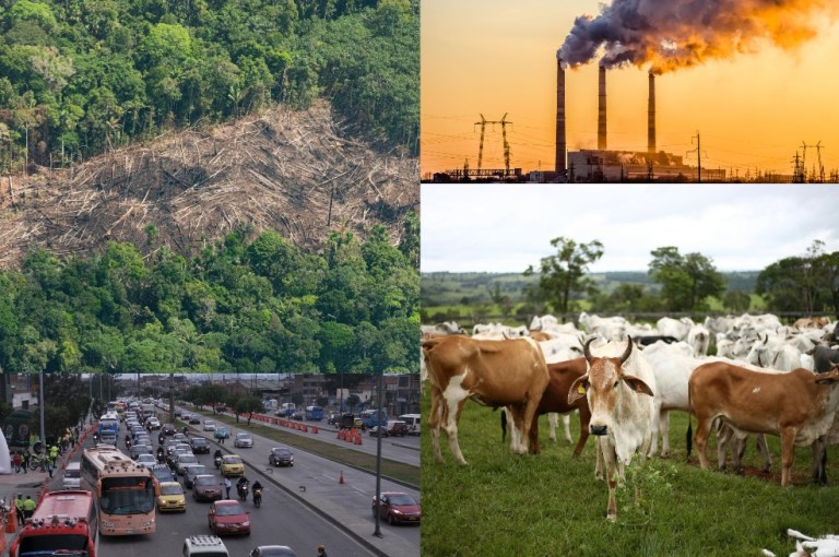 Estos departamentos de Colombia generan las mayores emisiones de gases de efecto invernadero