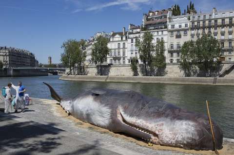Una ballena aparece varada en París para denunciar el cambio climático