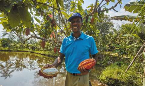 Las biofábricas con las que se enfrentan los altos precios de los fertilizantes en Colombia