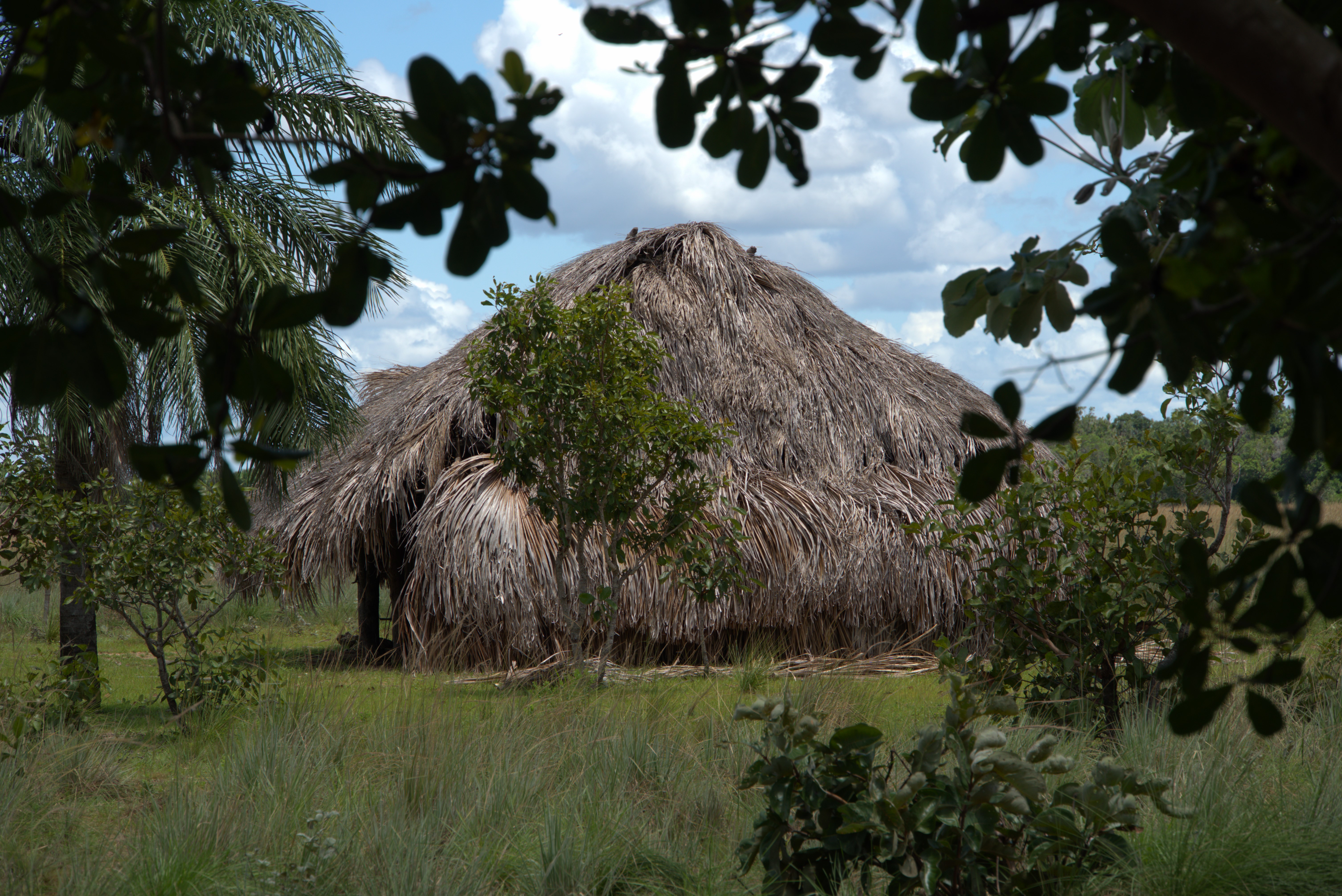 Tierras raras Minastyc