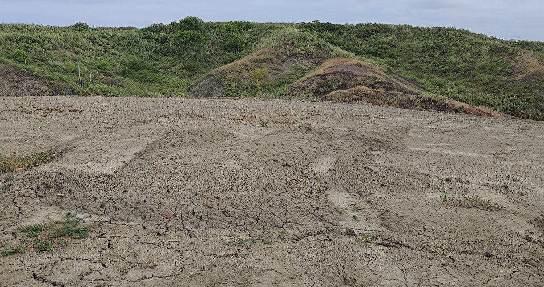 Gregorio iba a ser enterrado bajo esta tierra removida, donde fueron sepultadas al menos 35 personas en febrero de 2026. Los trabajadores dicen que son “lotes ecológicos”. Fotografía tomada en febrero de 2026.