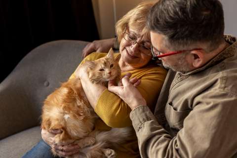 Beneficios de tener un gato para la salud