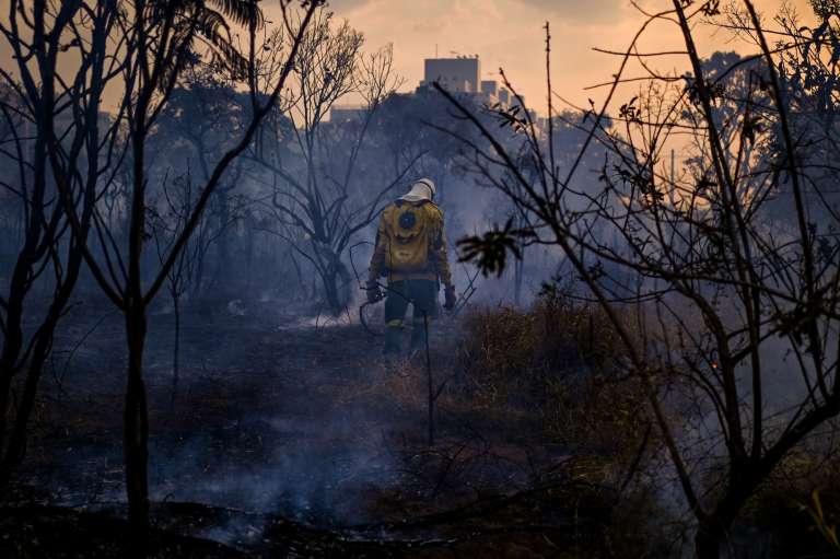El ministerio de Ambiente de Brasil aseguró que, en lo corrido de 2024, los incendios forestales han quemado más de 18.000 kilómetros cuadrados en el Pantanal.