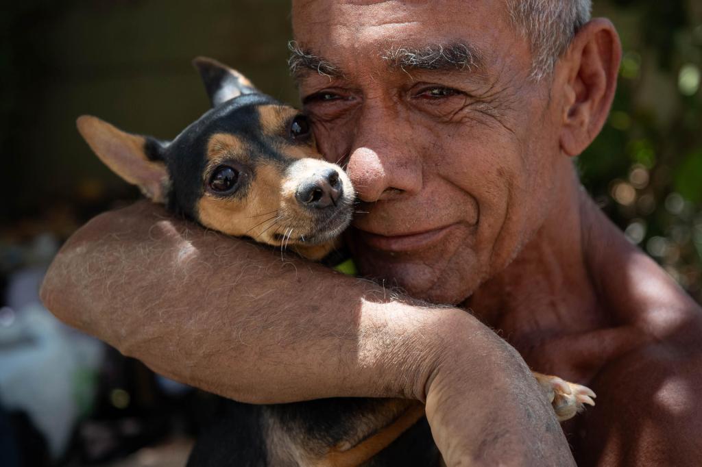 Guía de preparación para cuidar a sus mascotas ante desastres naturales