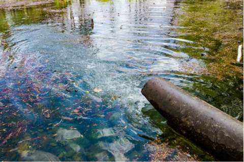 Cuatro ideas (que sí funcionan) para descontaminar el agua