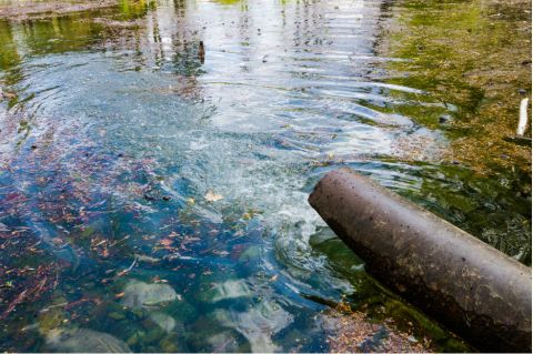 Cuatro ideas (que sí funcionan) para descontaminar el agua