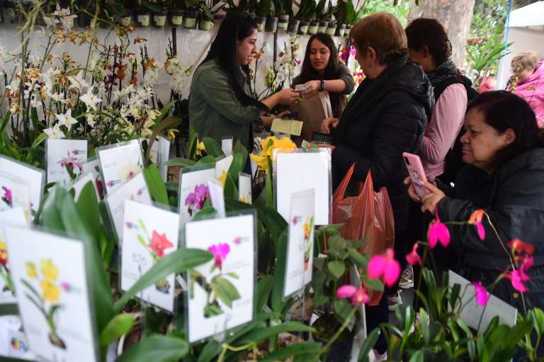 En este encuentro, que tiene como país invitado a México, los ciudadanos podrán conocer las distintas especies que hay en Colombia, asimismo, asistir a talleres, conversatorios, exposiciones fotográficas y recorridos, entre otros.