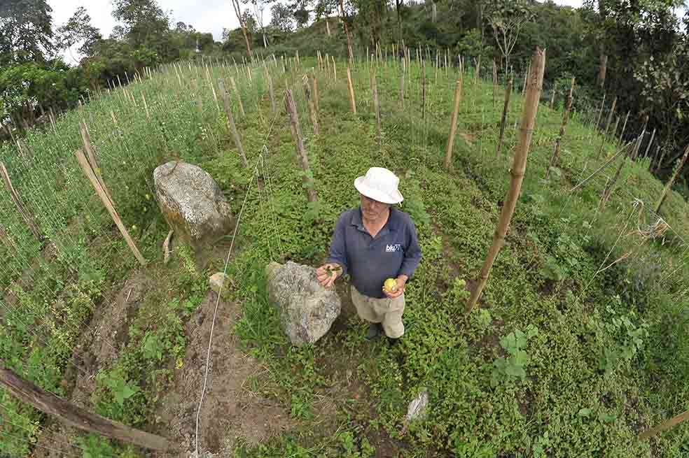 Jairo Leal, uno de los productores de comida orgánica. / Cristian Garavito