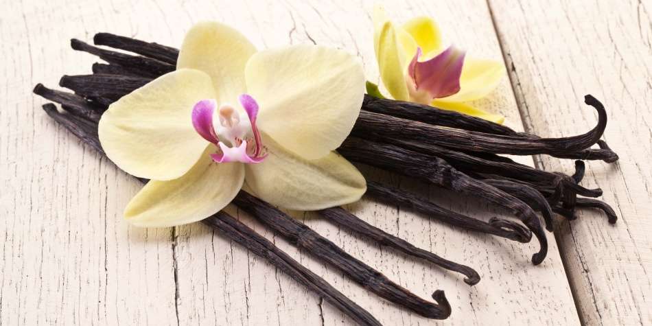 La vainilla es una especia altamente valorada en la gastronomía y la perfumería, conocida por su aroma distintivo