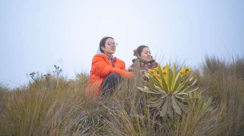 “Pirsas”, documental colombiano, competirá en el Festival de cine de San Sebastián