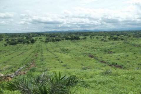 Nuevo mico en el PND favorece a los que robaron tierras al Estado