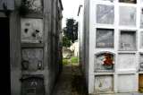 Distrito niega crisis en cementerios y dice que garantizará su funcionamiento