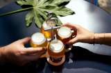 ¿Qué cantidad de cerveza se puede beber al día y qué causa en el cuerpo?