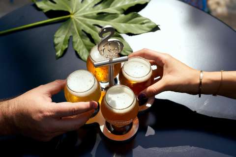 ¿Qué cantidad de cerveza se puede beber al día y qué causa en el cuerpo?