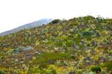 Colombia delimita el complejo de páramos más grande del mundo: Cruz Verde-Sumapaz