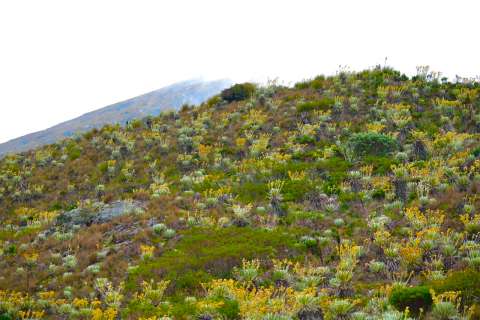 Colombia delimita el complejo de páramos más grande del mundo: Cruz Verde-Sumapaz