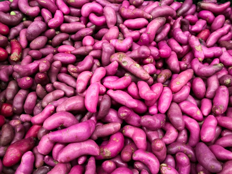 ¿Para qué sirve el olluco o la chugua? El tubérculo colombiano que casi nadie conoce