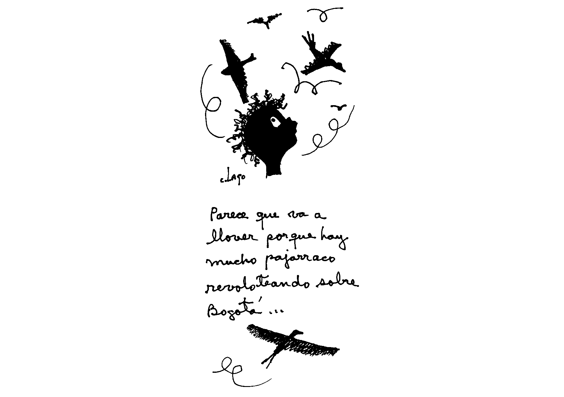 Caricatura