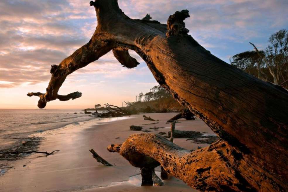 Big Talbot Island State Park, Jacksonville, es una de las playas recomendadas para visitar en Florida.