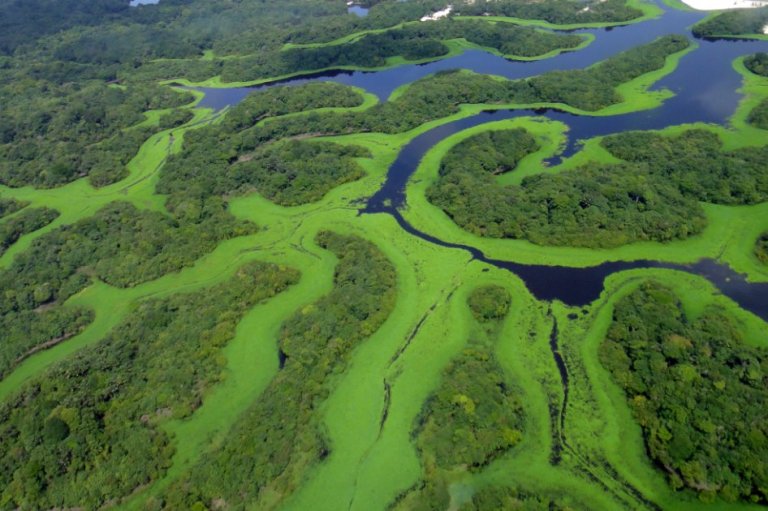 Amazonía: la región más peligrosa para ambientalistas