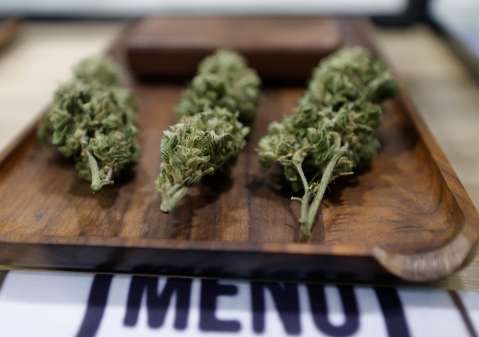 Uso recreacional de cannabis: ¿Bogotá está preparada para la legalización?