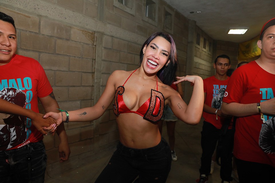 Ana del Castillo