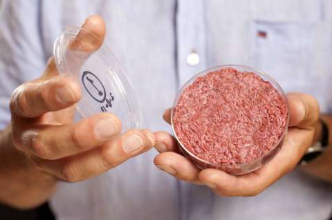 ¿Carne de laboratorio o sacrificio de animales?