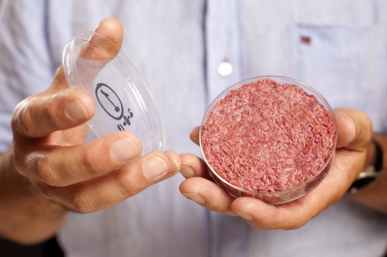 ¿Carne de laboratorio o sacrificio de animales?