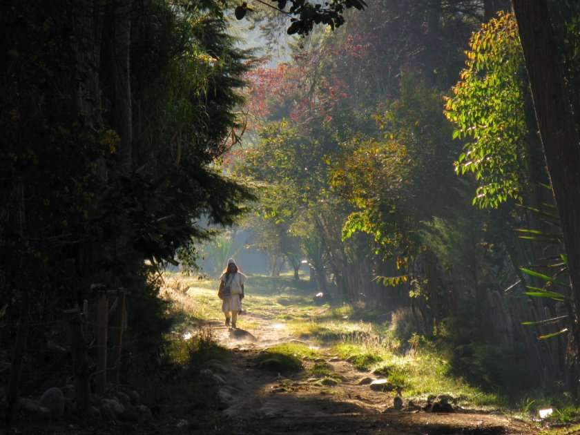 El mamu Vicencio, de la Sierra Nevada de Santa Marta, uno de los líderes indígenas que se opone a las construcciones en sitios sagrados del Parque Tayrona.