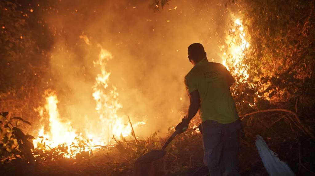 AME6747. SANTA CRUZ (BOLIVIA), 14/11/2023.- Un voluntario trabaja en apagar un incendio en Concepción, el 13 de noviembre de 2023, en Santa Cruz (Bolivia). La vida silvestre se apaga en medio del fuego de los incendios forestales que consumen miles de hectáreas de bosques y pastizales en Bolivia, como la de una urina o pequeño venado, que los bomberos encontraron calcinado en medio del árido paisaje donde solo quedan troncos quemados. Los bomberos forestales trabajan varias horas para evitar que las llamas avancen y se lleven más vidas, especialmente en las áreas protegidas. EFE/ Juan Pablo Roca