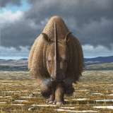 La trágica historia de extinción del rinoceronte lanudo podría repetirse