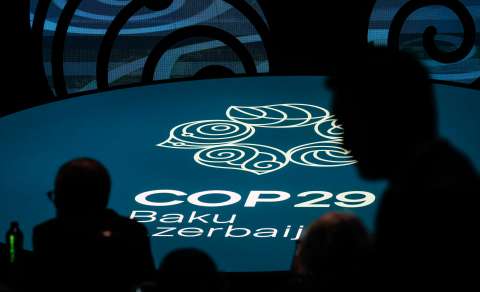 COP29: Colombia necesita plata para financiar sus metas climáticas y así la busca