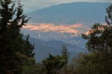 Holandés apareció muerto en residencia de Medellín ¿qué se sabe?