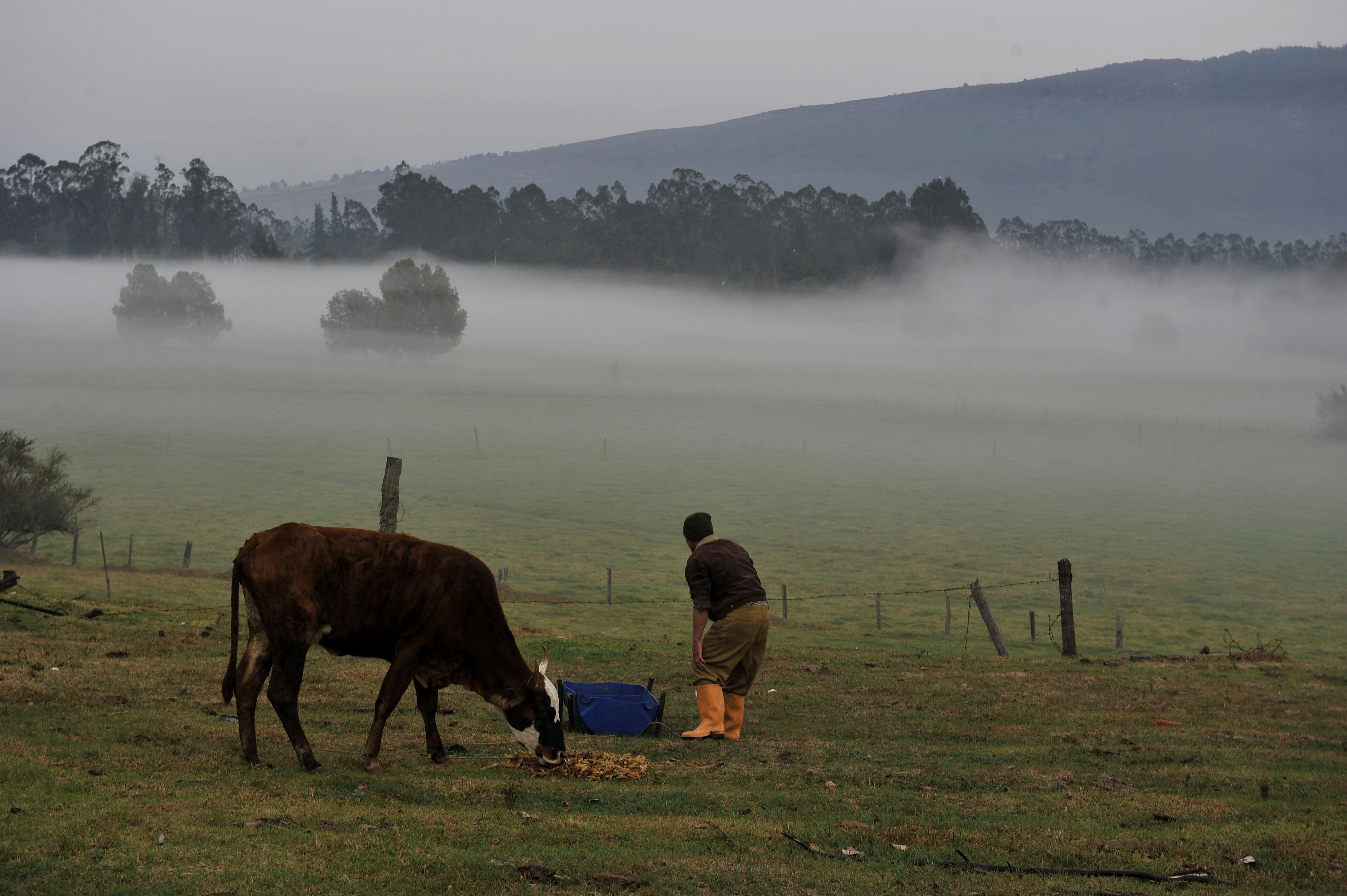 Bajas temperaturas en algunas zonas del departamento de Cundinamarca y algunos municipios de la sabana