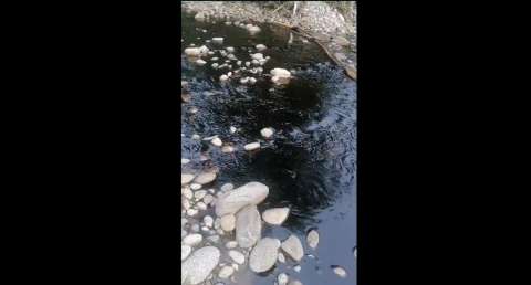 Alerta por derrame de petróleo en el río Mocoa y Caquetá en medio de paro armado