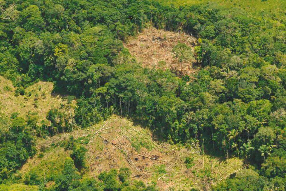 Según las autoridades estos campesinos habrían colaborado en la deforestación de 120 hectáreas. Los defensores de derechos humanos indican que la cifras del gobierno están erradas. / Imagen de referencia / Archivo}