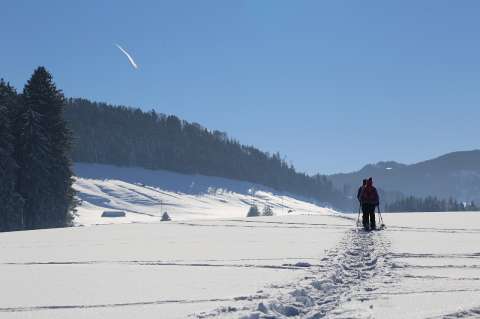 ¿Primera vez en nieve o alta montaña? Consejos clave para senderistas