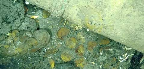 Galeón San José: billonaria demanda de cazatesoros se definirá en juicio