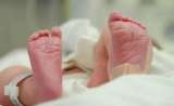 Aprobada ley que ordena el tamizaje neonatal